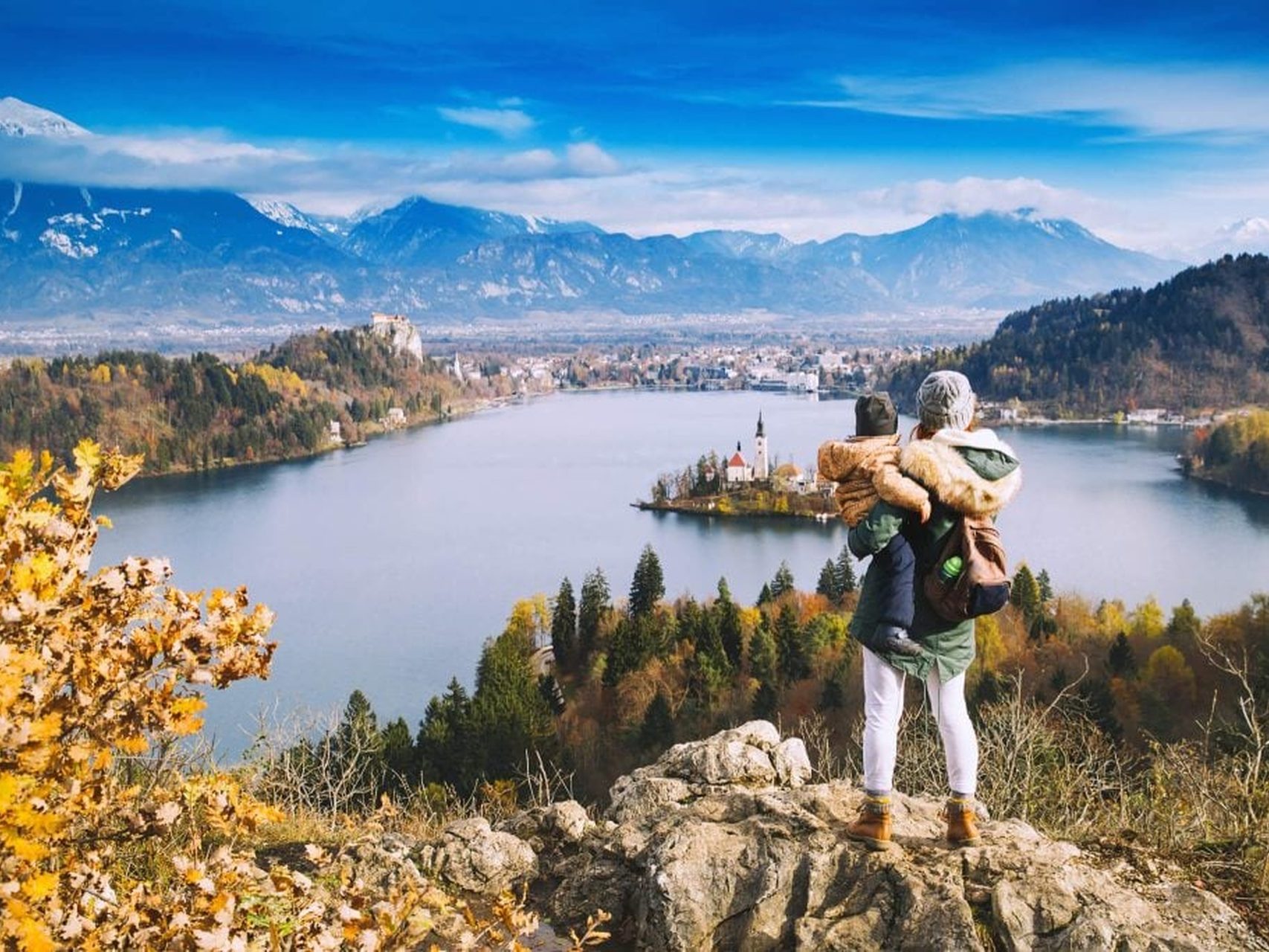 Movis Private Tours