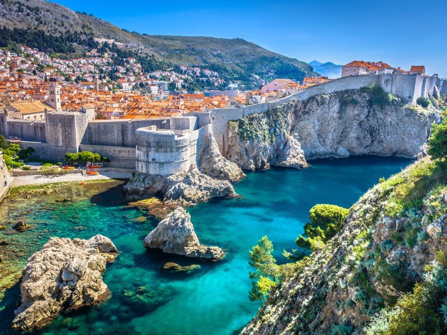 Movis Private Tours