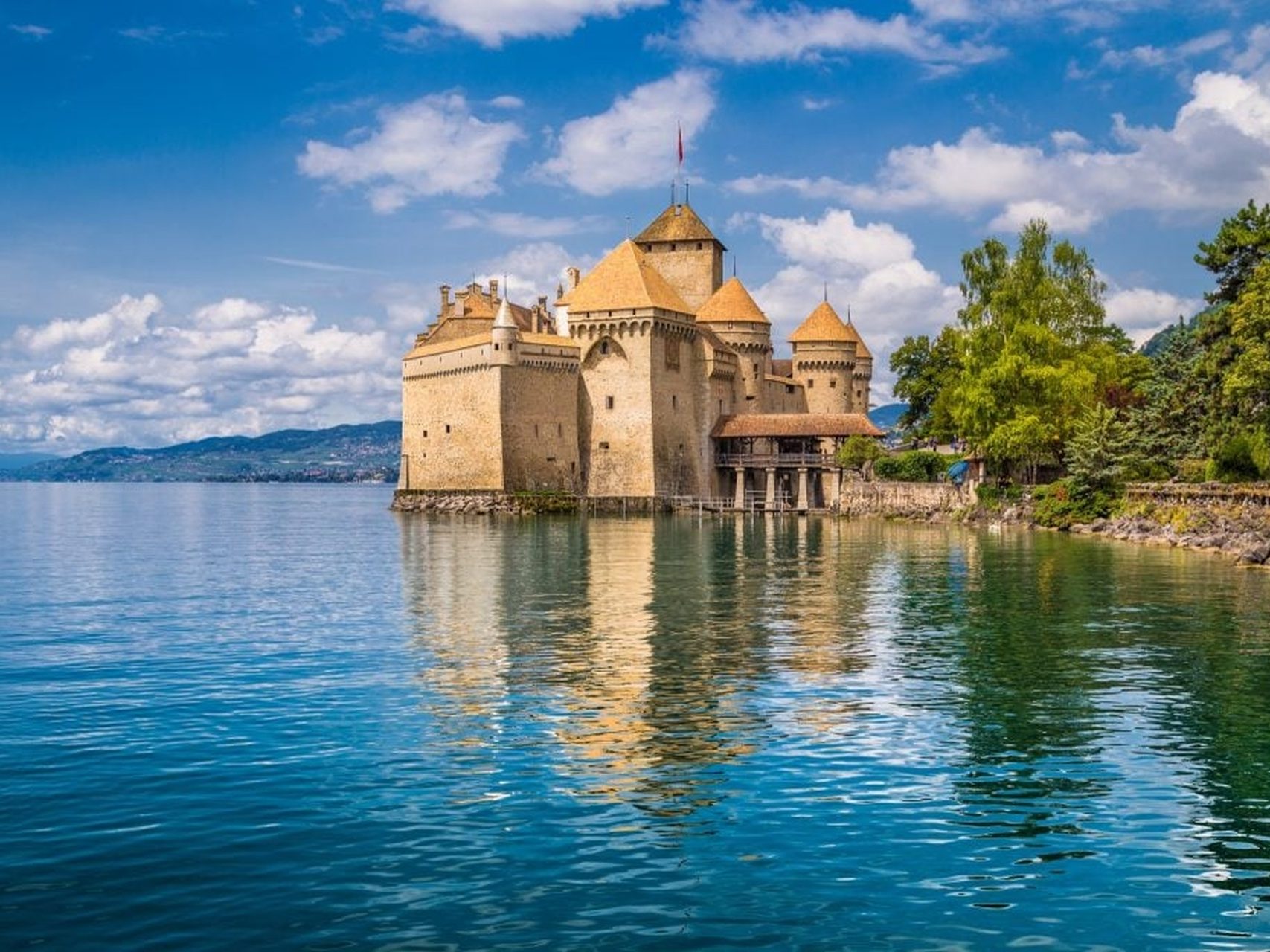 Movis Private Tours