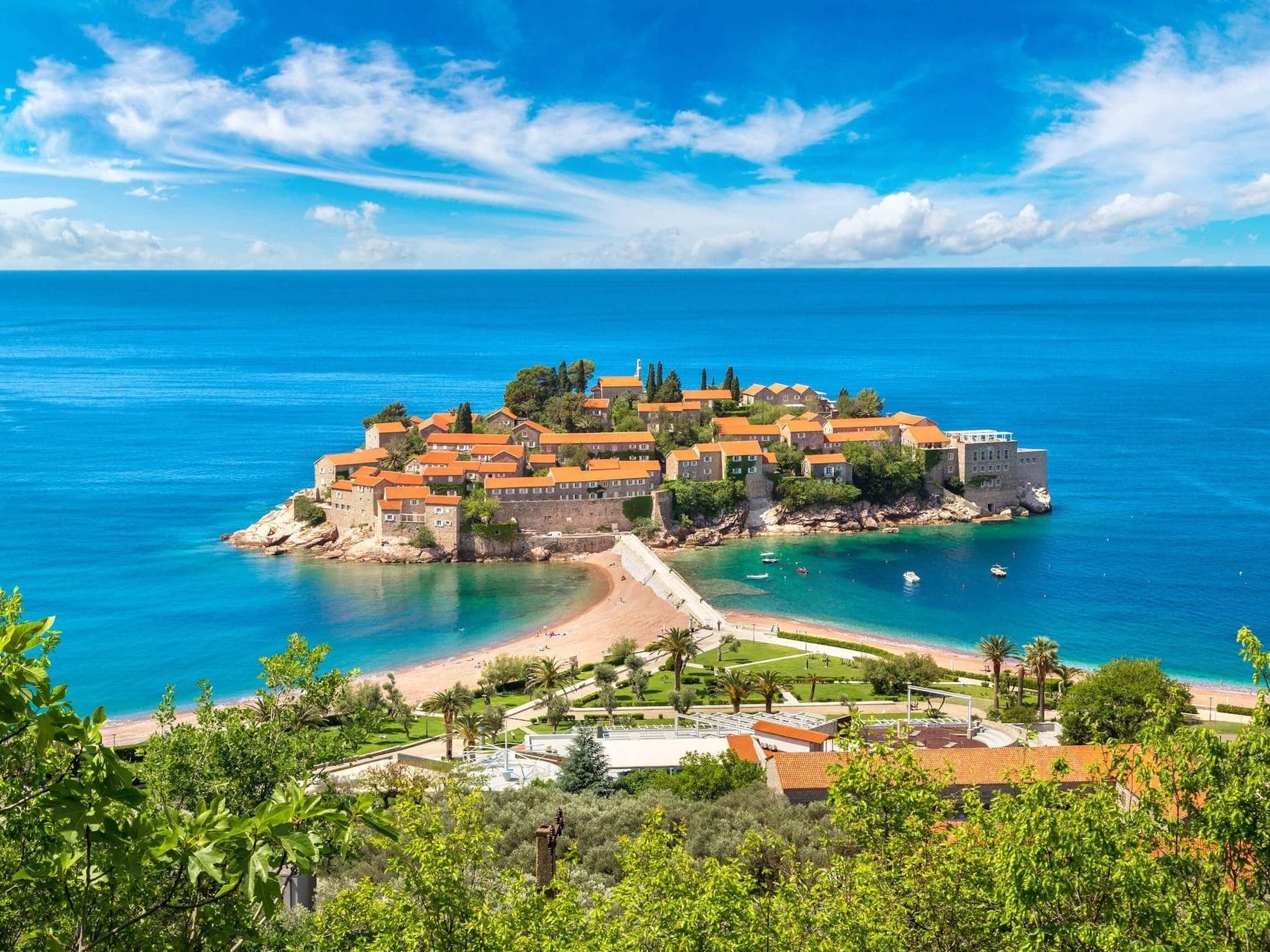 Movis Private Tours