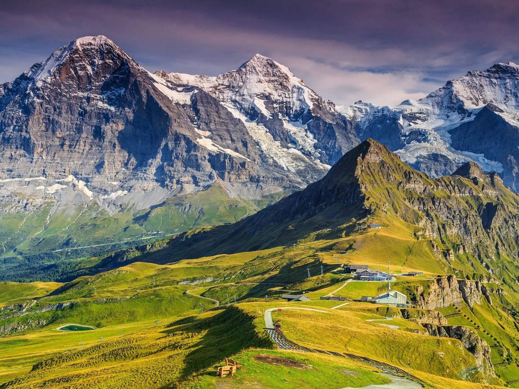 Movis Private Tours