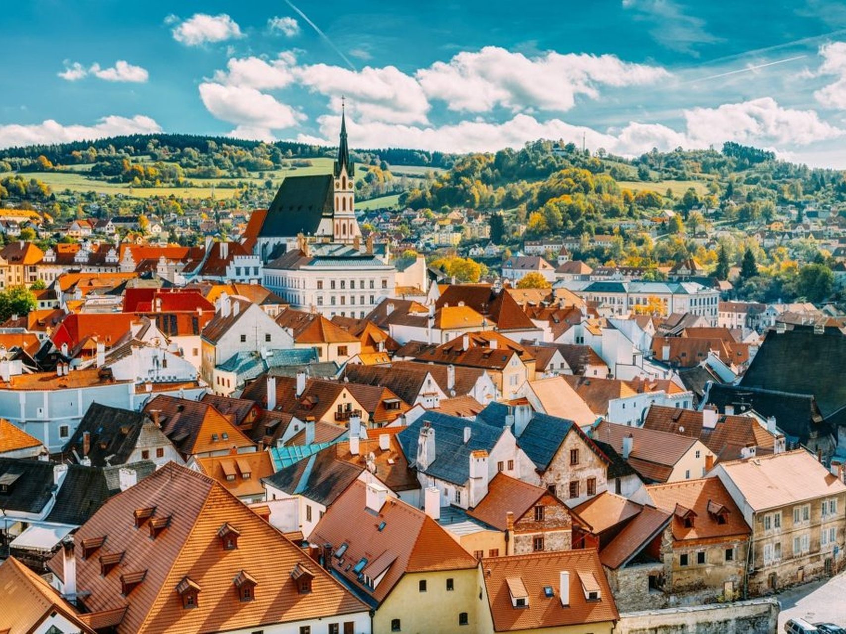 Movis Private Tours