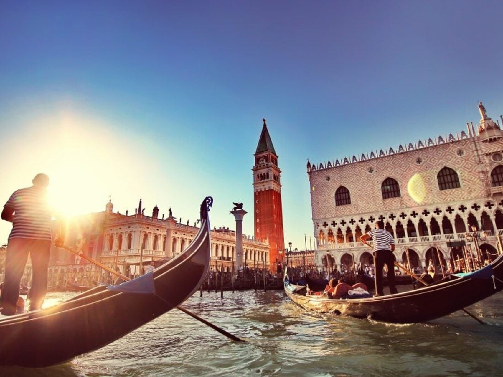 Movis Private Tours